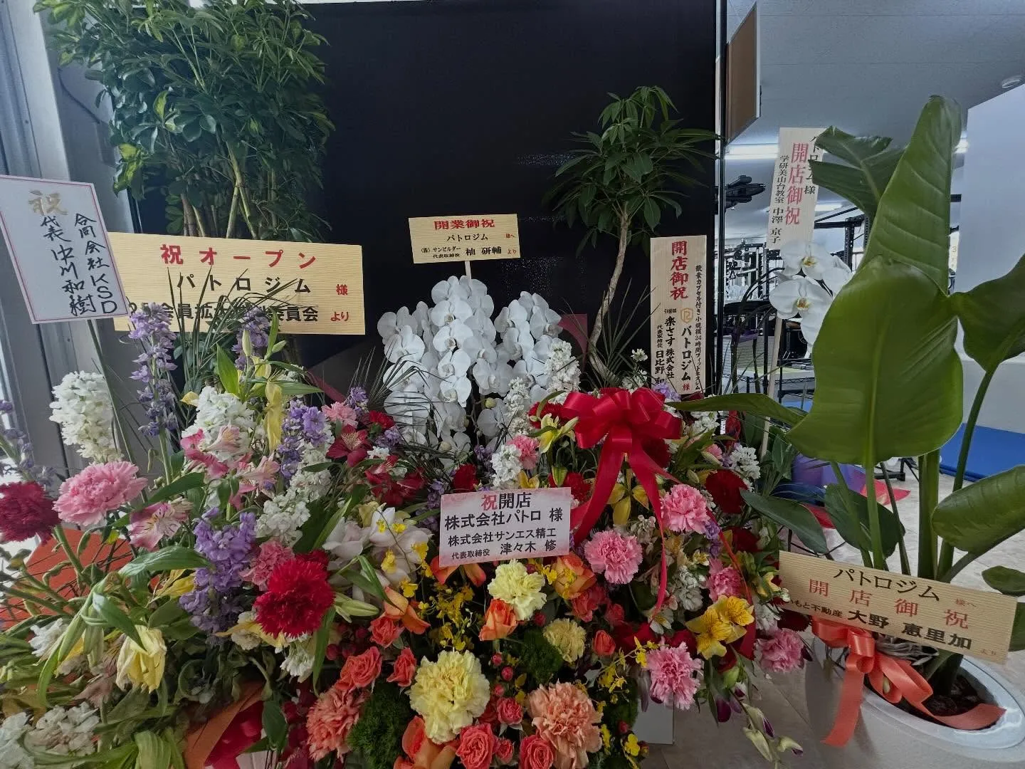 オープンから２週間！お気軽にご来店ください！【パトロジム/神戸/長田/酸素カプセル/ジム/24時間】